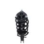 PRT PERFORMANCE RIDE 810071 PRT Complete Strut Assembly