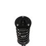 PRT PERFORMANCE RIDE 810077 PRT Complete Strut Assembly