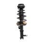 PRT PERFORMANCE RIDE 810091 PRT Complete Strut Assembly