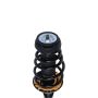 PRT PERFORMANCE RIDE 810096 PRT Complete Strut Assembly