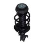 PRT PERFORMANCE RIDE 810100 PRT Complete Strut Assembly