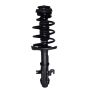 PRT PERFORMANCE RIDE 810100 PRT Complete Strut Assembly