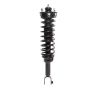 PRT PERFORMANCE RIDE 810110 PRT Complete Strut Assembly