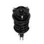 PRT PERFORMANCE RIDE 810148 PRT Complete Strut Assembly