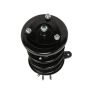 PRT PERFORMANCE RIDE 810166 PRT Complete Strut Assembly