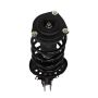 PRT PERFORMANCE RIDE 810167 PRT Complete Strut Assembly