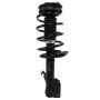 PRT PERFORMANCE RIDE 810167 PRT Complete Strut Assembly