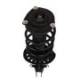 PRT PERFORMANCE RIDE 810168 PRT Complete Strut Assembly