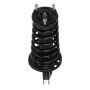 PRT PERFORMANCE RIDE 810199 PRT Complete Strut Assembly