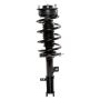 PRT PERFORMANCE RIDE 810412 PRT Complete Strut Assembly