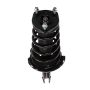 PRT PERFORMANCE RIDE 810495 PRT Complete Strut Assembly