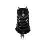 PRT PERFORMANCE RIDE 810496 PRT Complete Strut Assembly