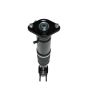 PRT PERFORMANCE RIDE 811029 PRT Complete Strut Assembly