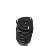 PRT PERFORMANCE RIDE 813403 PRT Complete Strut Assembly