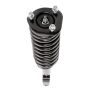 PRT PERFORMANCE RIDE 813487 PRT Complete Strut Assembly