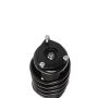 PRT PERFORMANCE RIDE 813491 PRT Complete Strut Assembly