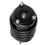 PRT PERFORMANCE RIDE 813492 PRT Complete Strut Assembly