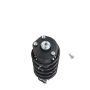 PRT PERFORMANCE RIDE 813681 PRT Complete Strut Assembly