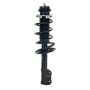 PRT PERFORMANCE RIDE 813864 PRT Complete Strut Assembly