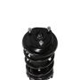 PRT PERFORMANCE RIDE 814177 PRT Complete Strut Assembly