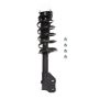 PRT PERFORMANCE RIDE 814243 PRT Complete Strut Assembly