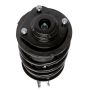 PRT PERFORMANCE RIDE 814381 PRT Complete Strut Assembly