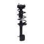 PRT PERFORMANCE RIDE 814395 PRT Complete Strut Assembly