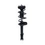 PRT PERFORMANCE RIDE 814396 PRT Complete Strut Assembly