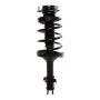 PRT PERFORMANCE RIDE 814401 PRT Complete Strut Assembly
