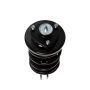 PRT PERFORMANCE RIDE 814406 PRT Complete Strut Assembly