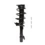 PRT PERFORMANCE RIDE 814513 PRT Complete Strut Assembly
