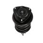 PRT PERFORMANCE RIDE 814523 PRT Complete Strut Assembly