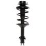 PRT PERFORMANCE RIDE 814523 PRT Complete Strut Assembly