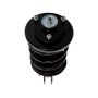 PRT PERFORMANCE RIDE 814546 PRT Complete Strut Assembly
