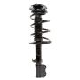 PRT PERFORMANCE RIDE 814547 PRT Complete Strut Assembly