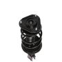 PRT PERFORMANCE RIDE 814548 PRT Complete Strut Assembly