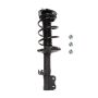 PRT PERFORMANCE RIDE 814548 PRT Complete Strut Assembly