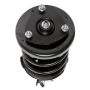 PRT PERFORMANCE RIDE 814744 PRT Complete Strut Assembly