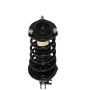 PRT PERFORMANCE RIDE 814765 PRT Complete Strut Assembly