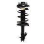 PRT PERFORMANCE RIDE 814773 PRT Complete Strut Assembly