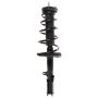 PRT PERFORMANCE RIDE 814879 PRT Complete Strut Assembly
