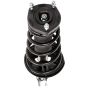 PRT PERFORMANCE RIDE 814880 PRT Complete Strut Assembly