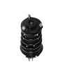 PRT PERFORMANCE RIDE 814908 PRT Complete Strut Assembly