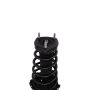 PRT PERFORMANCE RIDE 814909 PRT Complete Strut Assembly
