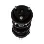 PRT PERFORMANCE RIDE 814977 PRT Complete Strut Assembly