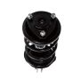 PRT PERFORMANCE RIDE 814978 PRT Complete Strut Assembly