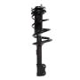 PRT PERFORMANCE RIDE 815019 PRT Complete Strut Assembly
