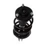 PRT PERFORMANCE RIDE 815020 PRT Complete Strut Assembly
