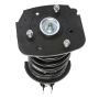 PRT PERFORMANCE RIDE 815025 PRT Complete Strut Assembly
