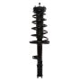 PRT PERFORMANCE RIDE 815029 PRT Complete Strut Assembly